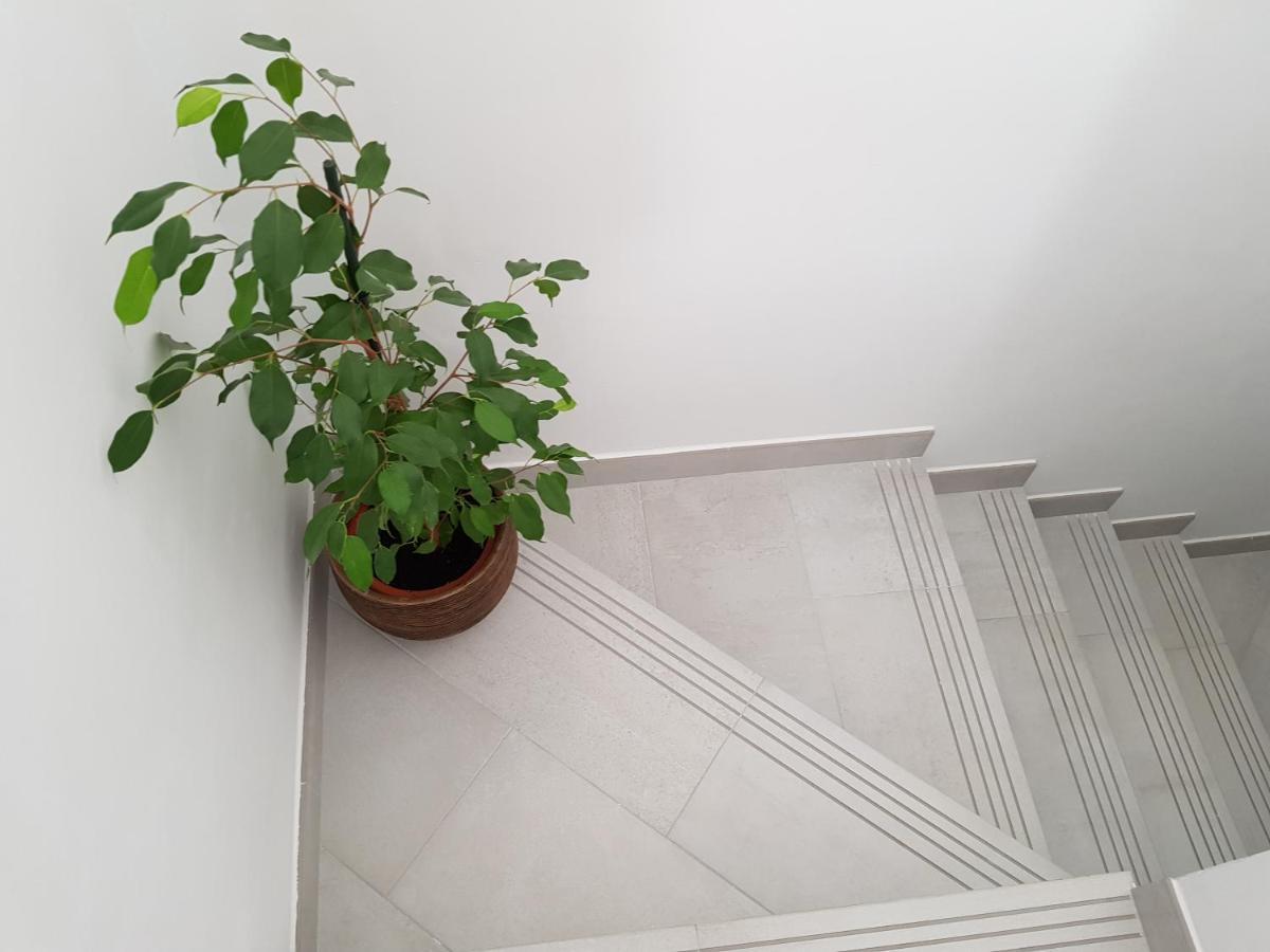 Loft Abantos - 120M2 Mas Terraza Y Jardin Independiente San Lorenzo de El Escorial ภายนอก รูปภาพ